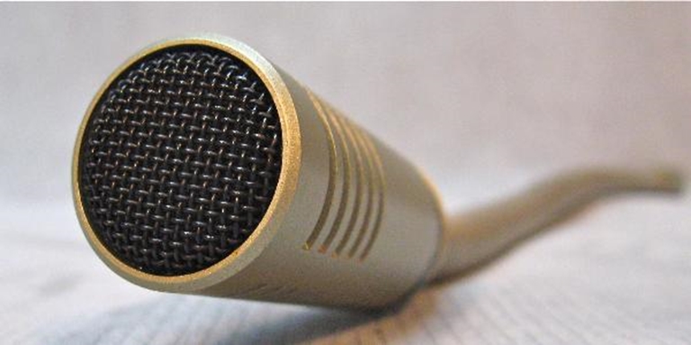 Picture of Audio Technica 18" AT838G Gooseneck Mic