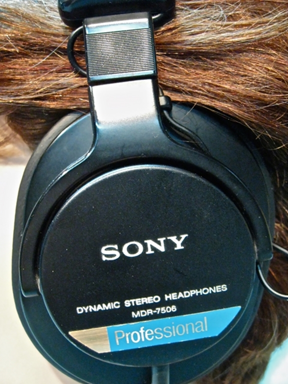 Picture of Sony MDR-7506 Pro Headphones