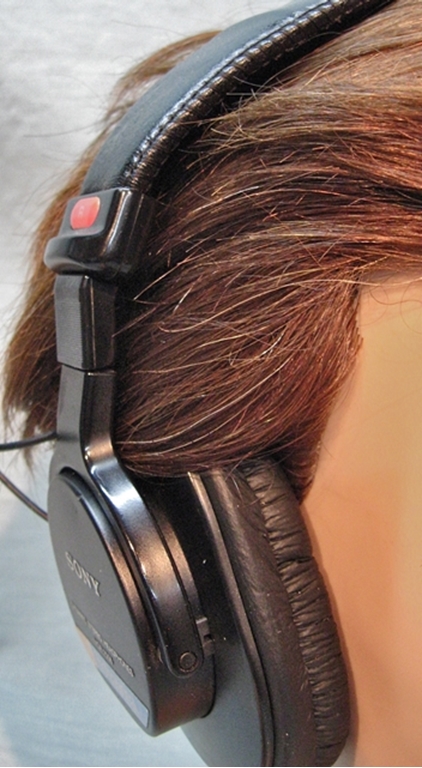 Picture of Sony MDR-7506 Pro Headphones
