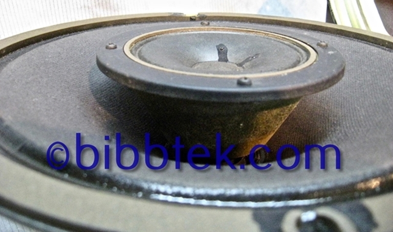 Picture of Japan Industries 10" Coaxial drivers, (Pair) NKS 5DG